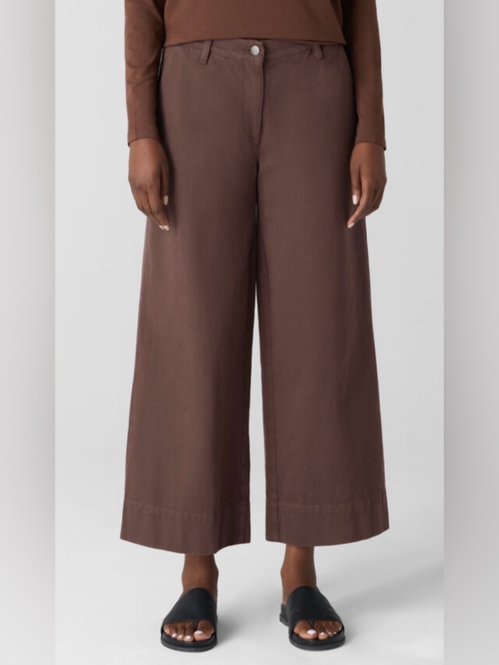 Eileen Fisher NWT Petite Small Clove Wide Leg Organic Cotton Utility Pant $188